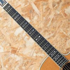 Gibson Songwriter Recording Artist EC AN_6