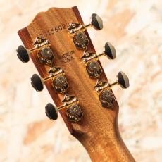 Gibson Songwriter Recording Artist EC AN_9