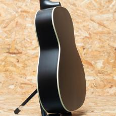 Gibson L-00 Special VS_5