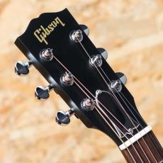 Gibson L-00 Special VS_8