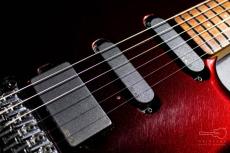 MUSIC MAN LUKE / 1994_6