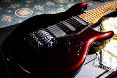 MUSIC MAN LUKE / 1994_10