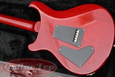 Paul Reed Smith [PRS] Standard 24 Brazilian Rosewood Fingerboard VCH '87_3