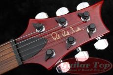 Paul Reed Smith [PRS] Standard 24 Brazilian Rosewood Fingerboard VCH '87_4