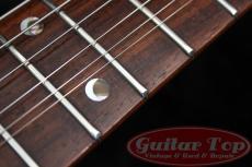 Paul Reed Smith [PRS] Standard 24 Brazilian Rosewood Fingerboard VCH '87_6