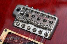 Paul Reed Smith [PRS] Standard 24 Brazilian Rosewood Fingerboard VCH '87_8