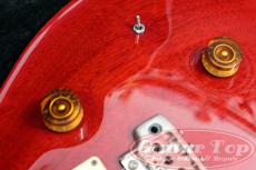 Paul Reed Smith [PRS] Standard 24 Brazilian Rosewood Fingerboard VCH '87_9