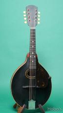 Gibson A-4_2