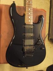 Valley Arts Custom Pro