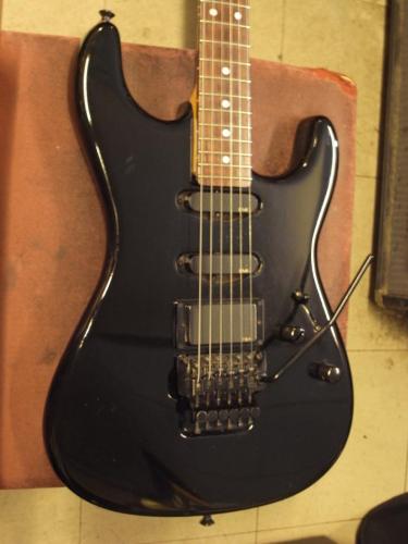 Valley Arts Custom Pro