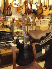 Valley Arts Custom Pro_2