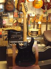 Valley Arts Custom Pro_3