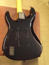 Valley Arts Custom Pro_4