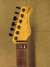 Valley Arts Custom Pro_5