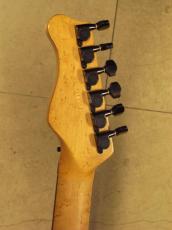 Valley Arts Custom Pro_6