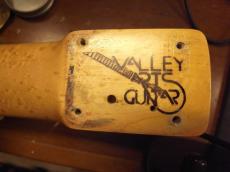 Valley Arts Custom Pro_9