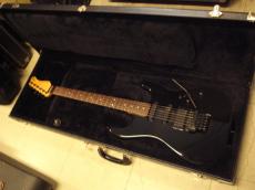 Valley Arts Custom Pro_10