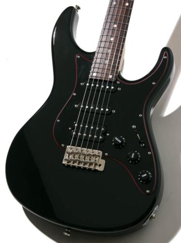 FREEDOM CUSTOM GUITAR RESEARCH C.S. EZa 24F Proto Black 2020