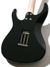 FREEDOM CUSTOM GUITAR RESEARCH C.S. EZa 24F Proto Black 2020_2