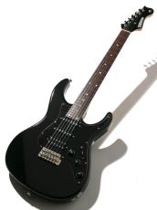 FREEDOM CUSTOM GUITAR RESEARCH C.S. EZa 24F Proto Black 2020_3