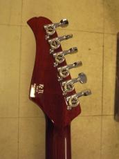 Kz Guitar Works TL Trad 22 2H5 (2023) 【値下】_6