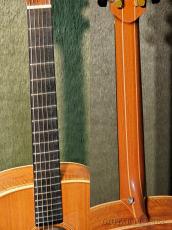 Lowden O-22 (American Mahogany / Red Cedar) -2012USED!!-【48回迄金利0%対象】_8