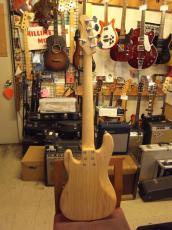 Red House 5Strings PB MODEL_3