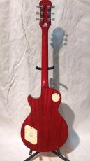 Epiphone Lespaul STANDRD_3