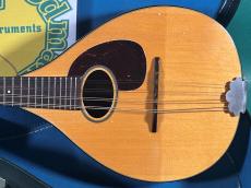 Martin STYLE-A_2