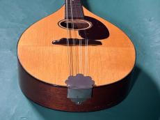 Martin STYLE-A_11