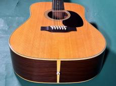 Martin D12-28 _11