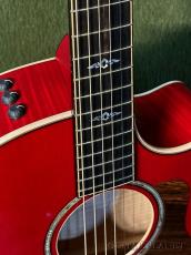 Taylor 【Top Japan Retailer Fair】【Hand Selected】BTO Custom GACE Ruby Red #13023_3