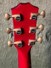 Taylor 【Top Japan Retailer Fair】【Hand Selected】BTO Custom GACE Ruby Red #13023_5