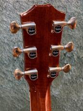 Taylor 【Top Japan Retailer Fair】【Hand Selected】BTO Custom GACE #13034 -Figured Blackwood_5