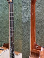 Taylor 【Top Japan Retailer Fair】【Hand Selected】BTO Custom GACE #13034 -Figured Blackwood_8