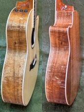 Taylor 【Top Japan Retailer Fair】【Hand Selected】BTO Custom GACE #13034 -Figured Blackwood_9