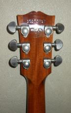 Gibson ESDP335_4