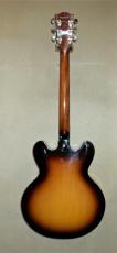 Gibson ESDP335_5