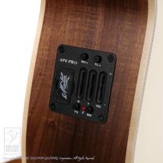 Maton EBG808 Artist_13