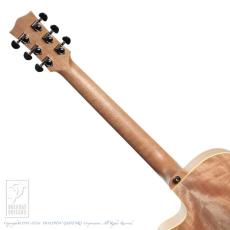 Maton Performer_7