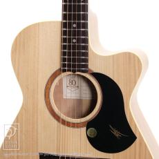 Maton Performer_11