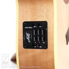 Maton Performer_13