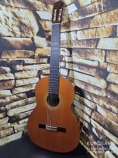 Taurus タウルス 1972年製 Model 56 杉・ローズウッド【日本総本店2F　在庫品】