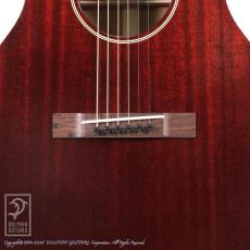 Switch SL-0 Irene【36回無金利対象品】_10