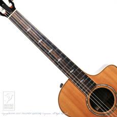 Taylor 812ce-N_5