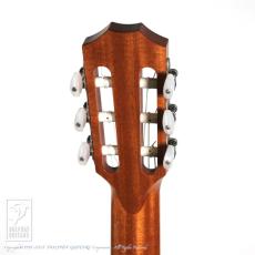 Taylor 812ce-N_8