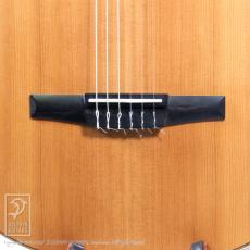 Taylor 812ce-N_10