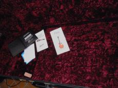 Gibson EDS1275_10