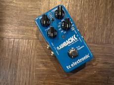 tc electronic FLASHBACK DELAY AND LOOPER