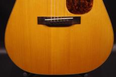 Nashville Guitar Co D Style mahogany_9